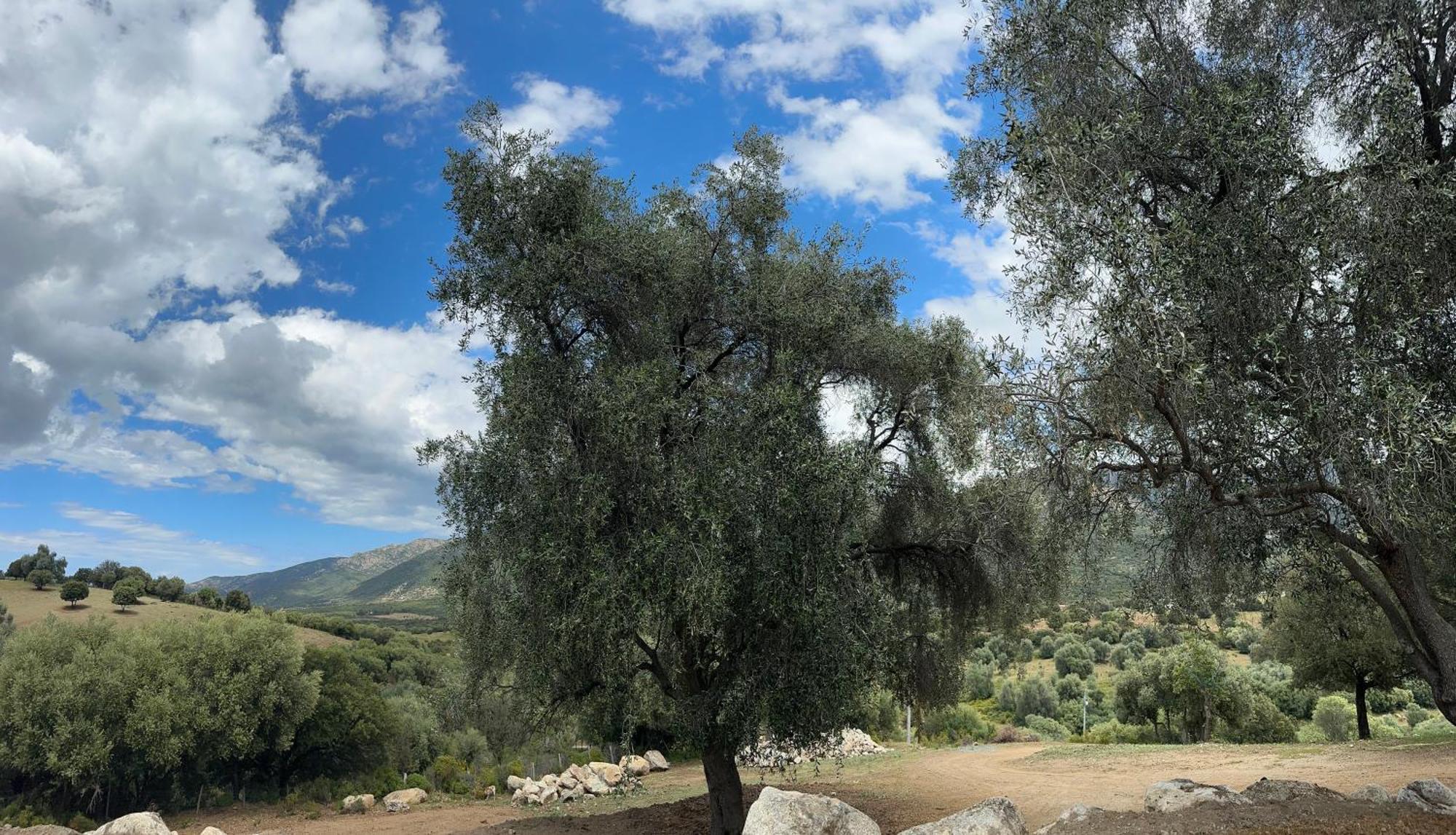 La Casa D'Ange Bergerie De Luxe Villa Lama Esterno foto