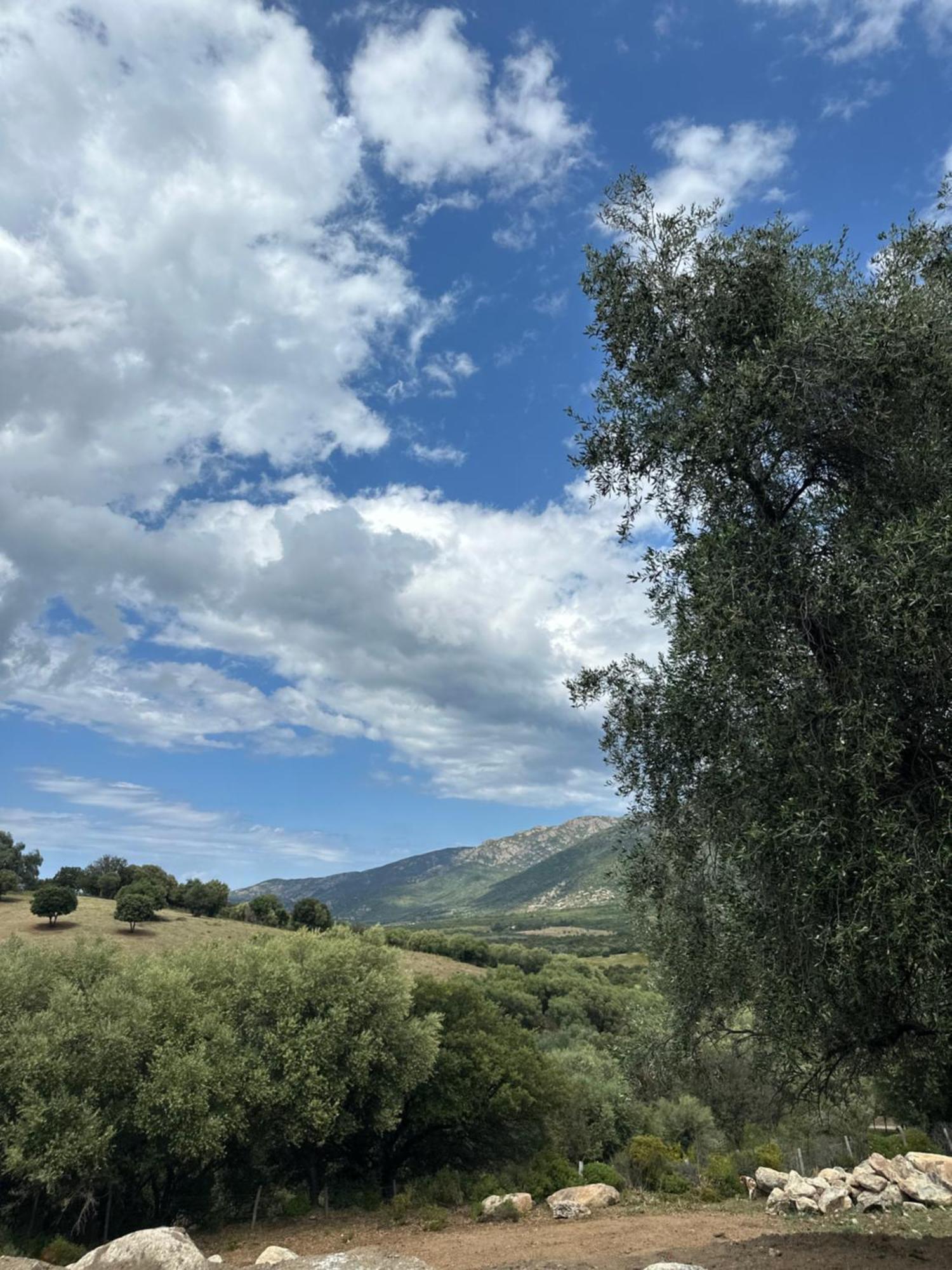 La Casa D'Ange Bergerie De Luxe Villa Lama Esterno foto