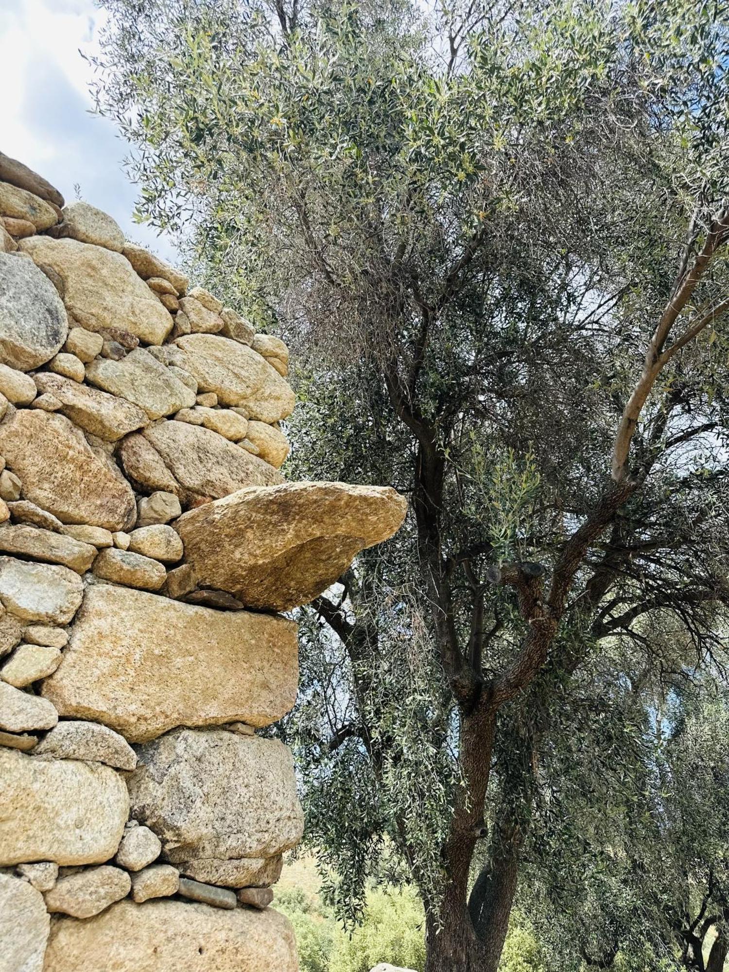 La Casa D'Ange Bergerie De Luxe Villa Lama Esterno foto